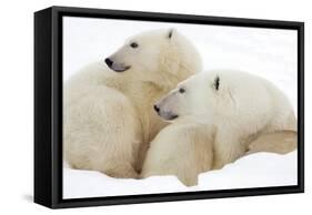 Mother and Cub Profile-Howard Ruby-Framed Stretched Canvas