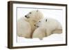 Mother and Cub Profile-Howard Ruby-Framed Photographic Print