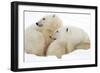Mother and Cub Profile-Howard Ruby-Framed Photographic Print