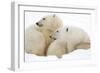 Mother and Cub Profile-Howard Ruby-Framed Photographic Print