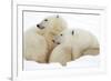 Mother and Cub Profile-Howard Ruby-Framed Photographic Print