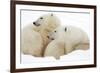 Mother and Cub Profile-Howard Ruby-Framed Photographic Print