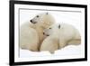 Mother and Cub Profile-Howard Ruby-Framed Photographic Print