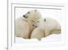 Mother and Cub Profile-Howard Ruby-Framed Photographic Print