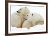 Mother and Cub Profile-Howard Ruby-Framed Photographic Print