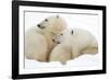 Mother and Cub Profile-Howard Ruby-Framed Photographic Print