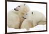 Mother and Cub Profile-Howard Ruby-Framed Photographic Print