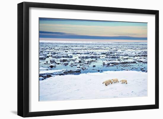 Mother and Cubs at the Shore-Howard Ruby-Framed Photographic Print