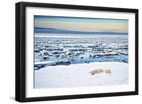 Mother and Cubs at the Shore-Howard Ruby-Framed Photographic Print