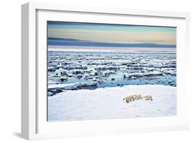 Mother and Cubs at the Shore-Howard Ruby-Framed Photographic Print