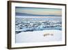 Mother and Cubs at the Shore-Howard Ruby-Framed Photographic Print