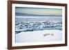 Mother and Cubs at the Shore-Howard Ruby-Framed Photographic Print