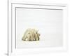 Mother and Cubs Walking-John Conrad-Framed Photographic Print