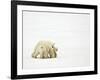 Mother and Cubs Walking-John Conrad-Framed Photographic Print