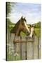 Mother and Foal-Janet Pidoux-Stretched Canvas