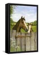 Mother and Foal-Janet Pidoux-Framed Stretched Canvas