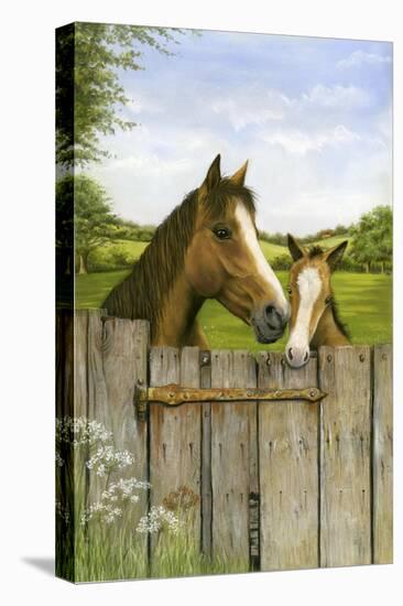 Mother and Foal-Janet Pidoux-Stretched Canvas