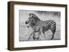 Mother and New Born-Scott Bennion-Framed Photo