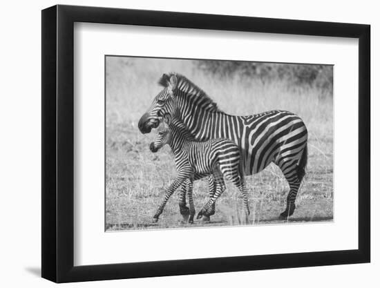 Mother and New Born-Scott Bennion-Framed Photo