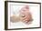 Mother And Newborn Baby Boy-Ruth Jenkinson-Framed Photographic Print