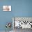 Mother And Newborn Baby Boy-Ruth Jenkinson-Mounted Photographic Print displayed on a wall