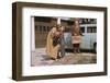 Mother and Son Saying Goodbye-William P. Gottlieb-Framed Photographic Print