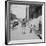 Mother and Son Walking Down Brooklyn Street Together, NY, 1949-Ralph Morse-Framed Photographic Print