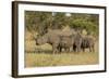 Mother and Young White Rhino, Kruger National Park, South Africa, Africa-Andy Davies-Framed Photographic Print