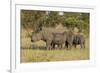 Mother and Young White Rhino, Kruger National Park, South Africa, Africa-Andy Davies-Framed Photographic Print