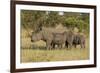 Mother and Young White Rhino, Kruger National Park, South Africa, Africa-Andy Davies-Framed Photographic Print