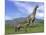 Mother Argentinosaurus Dinosaur and Baby Grazing a Green Landscape-null-Mounted Art Print