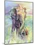 Mother & Baby Elephant Rainbow Colors-Michelle Faber-Mounted Giclee Print