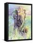 Mother & Baby Elephant Rainbow Colors-Michelle Faber-Framed Stretched Canvas