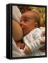 Mother Breast-feeding Her 3 Month Old Baby Boy-David Parker-Framed Stretched Canvas