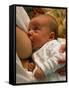 Mother Breast-feeding Her 3 Month Old Baby Boy-David Parker-Framed Stretched Canvas