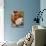 Mother Breast-feeding Her 3 Month Old Baby Boy-David Parker-Photographic Print displayed on a wall