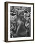 Mother Carrying Her Child During Evangelist Billy Graham's African Crusade-James Burke-Framed Photographic Print