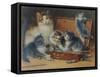 Mother Cat and Her Kittens Playing in a Paint Box-Wilhelm Schwar-Framed Stretched Canvas