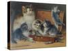 Mother Cat and Her Kittens Playing in a Paint Box-Wilhelm Schwar-Stretched Canvas