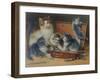 Mother Cat and Her Kittens Playing in a Paint Box-Wilhelm Schwar-Framed Giclee Print