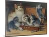 Mother Cat and Her Kittens Playing in a Paint Box-Wilhelm Schwar-Mounted Giclee Print