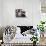 Mother Cat And Kittens-Orhan-Stretched Canvas displayed on a wall