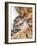 Mother Cat Hugging Little Kitten-Andrey_Kuzmin-Framed Photographic Print