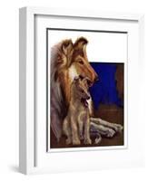 "Mother Collie and Pup,"July 15, 1933-Howard Van Dyck-Framed Giclee Print