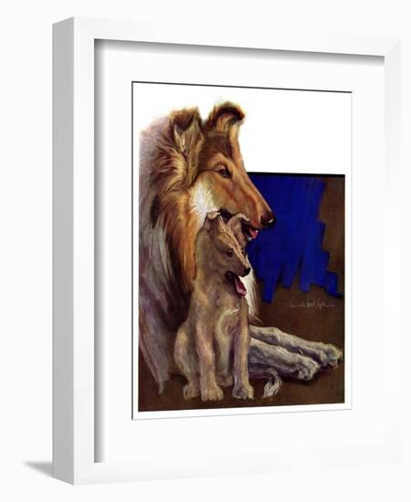 "Mother Collie and Pup,"July 15, 1933-Howard Van Dyck-Framed Giclee Print