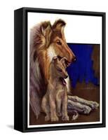 "Mother Collie and Pup,"July 15, 1933-Howard Van Dyck-Framed Stretched Canvas