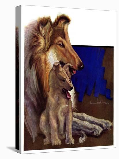 "Mother Collie and Pup,"July 15, 1933-Howard Van Dyck-Stretched Canvas