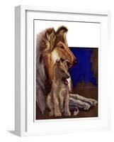 "Mother Collie and Pup,"July 15, 1933-Howard Van Dyck-Framed Giclee Print