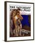 "Mother Collie and Pup," Saturday Evening Post Cover, July 15, 1933-Howard Van Dyck-Framed Giclee Print