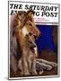"Mother Collie and Pup," Saturday Evening Post Cover, July 15, 1933-Howard Van Dyck-Mounted Giclee Print